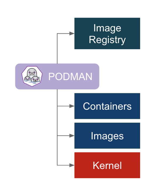 Podman Architecture